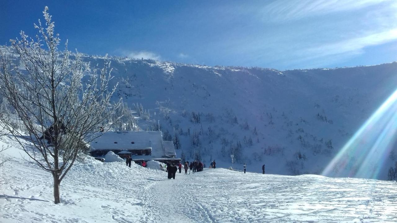 Willa Urocza Otel Karpacz Dış mekan fotoğraf